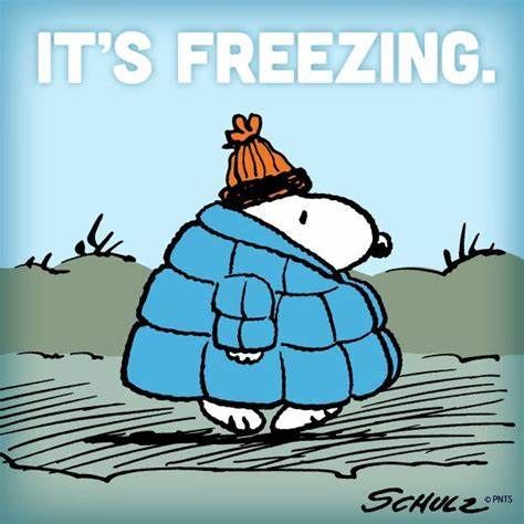 BRRRRR!!!!