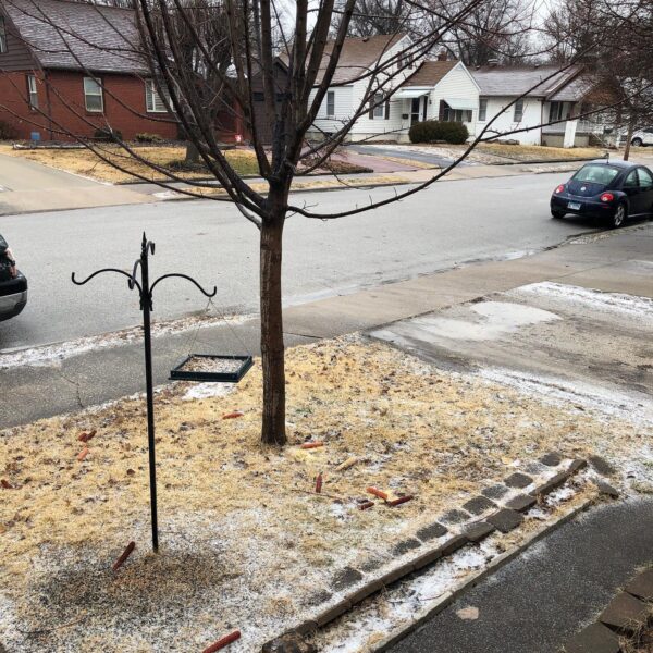 Beginning of the winter storm...