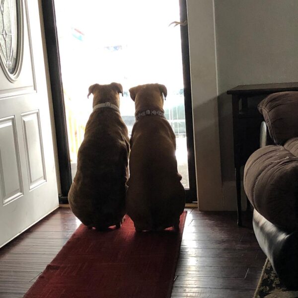Bird-watching...