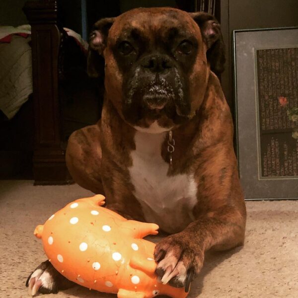 This stinker...