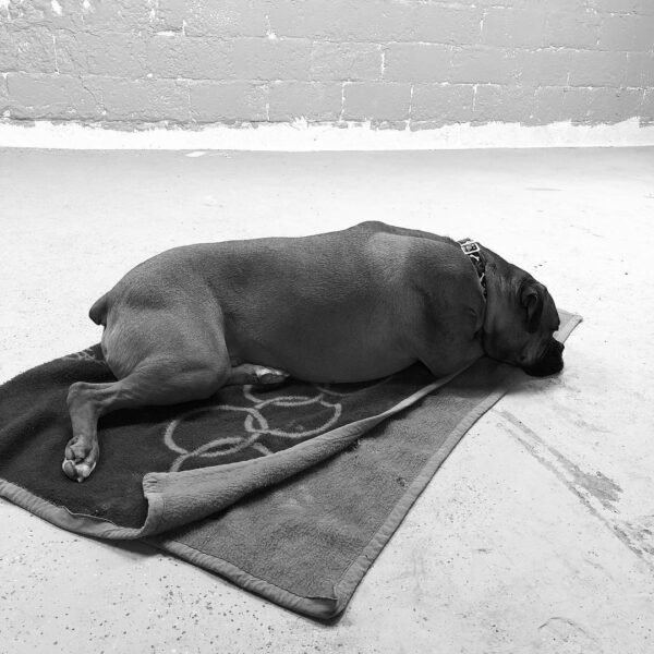 Taking a break...