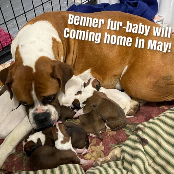 CAN NOT WAIT...