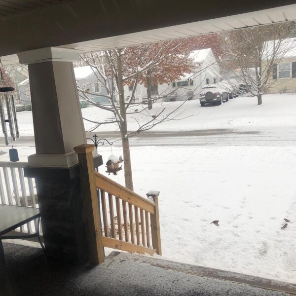 SNOW DAY...