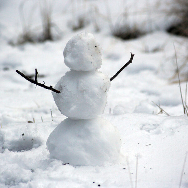 COLD!