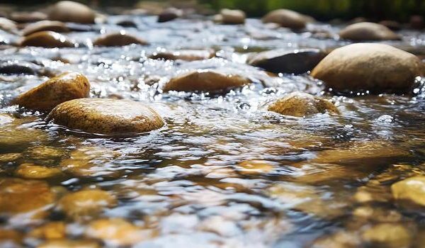 When the Story Finds You Before the Word